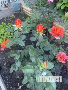 Дом 100м², 2-этажный, посуточно,