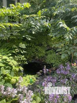 Дом 100м², 2-этажный, посуточно,