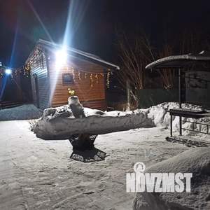 Дом 40м², 1-этажный, посуточно,