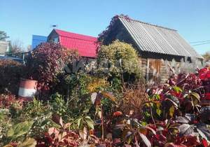 Дом 80м², 2-этажный, участок 4 сот.