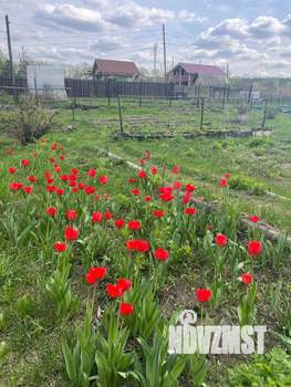 Дача 40м², 1-этажный, участок 7 сот.