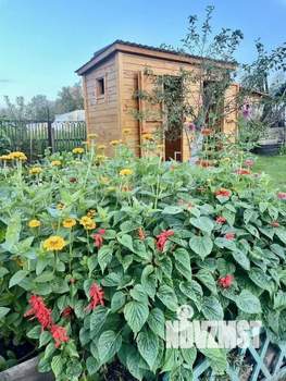 Дом 41м², 1-этажный, участок 7 сот.