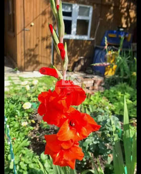 Дом 78м², 2-этажный, участок 4 сот.