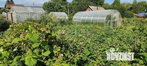 Дом 40м², 1-этажный, участок 8 сот.