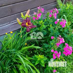 Дом 68м², 2-этажный, участок 6 сот.