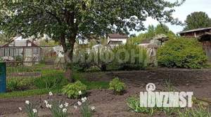 Дом 20м², 1-этажный, участок 6 сот.