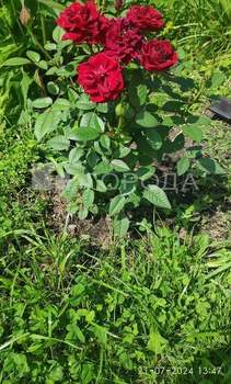 Дом 54м², 2-этажный, участок 6 сот.