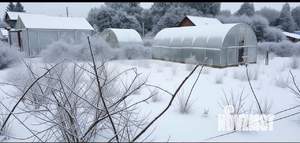 Дом 40м², 1-этажный, участок 8 сот.