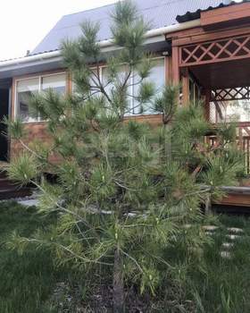 Дом 89м², 2-этажный, участок 4 сот.