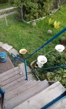 Дача 30м², 2-этажный, участок 4 сот.