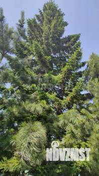 Дом 56м², 2-этажный, участок 10 сот.