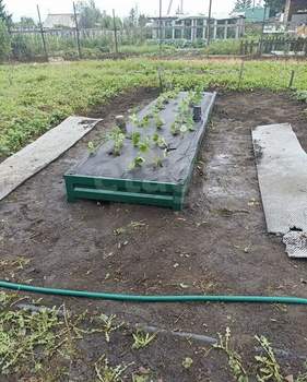 Дом 17м², 2-этажный, участок 6 сот.