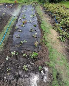 Дом 20м², 2-этажный, участок 7 сот.