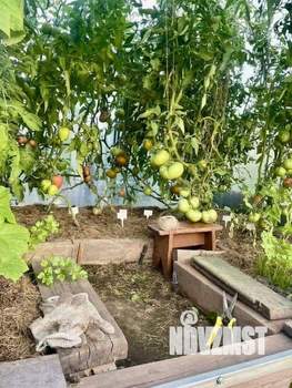 Дом 41м², 1-этажный, участок 7 сот.