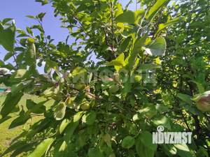 Дом 104м², 1-этажный, участок 10 сот.