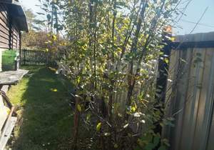 Дом 80м², 2-этажный, участок 4 сот.