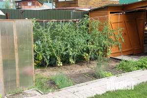 Дом 51м², 2-этажный, участок 3 сот.