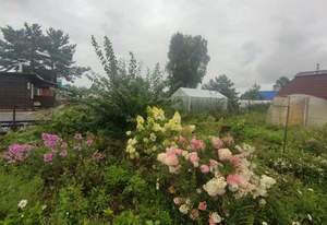 Дом 25м², 1-этажный, участок 5 сот.