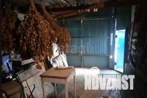 Дом 82м², 1-этажный, участок 3 сот.