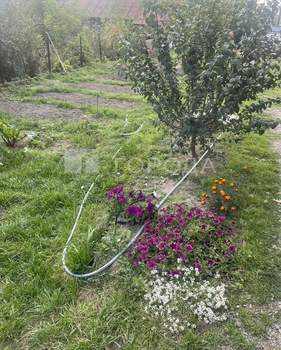 Дом 30м², 1-этажный, участок 6 сот.