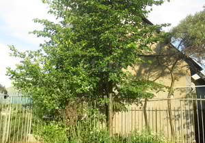 Дача 30м², 2-этажный, участок 4 сот.