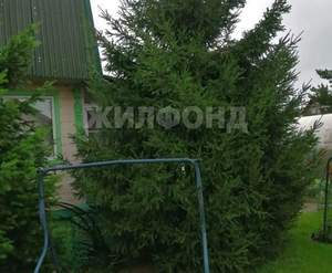 Дом 57м², 2-этажный, участок 4 сот.