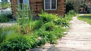 Дом 130м², 1-этажный, участок 14 сот.