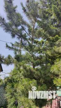 Дом 56м², 2-этажный, участок 10 сот.