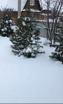 Дом 50м², 2-этажный, участок 4 сот.