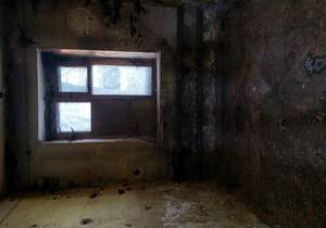 Дом 50м², 1-этажный, участок 3 сот.