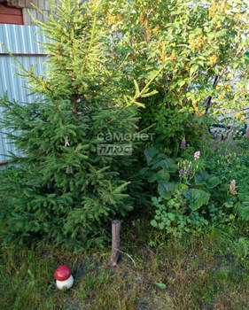 Дом 107м², 2-этажный, участок 4 сот.