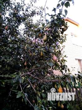 Дом 45м², 2-этажный, участок 6 сот.