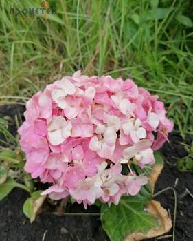 Дом 20м², 2-этажный, участок 7 сот.