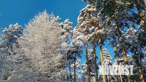 Дом 36м², 1-этажный, участок 3 сот.