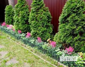 Таунхаус 230м², 3-этажный, участок 3 сот.