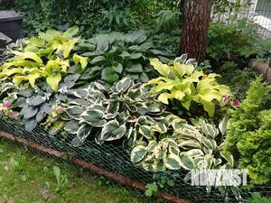 Таунхаус 230м², 3-этажный, участок 3 сот.