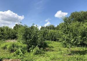 Дом 20м², 2-этажный, участок 7 сот.