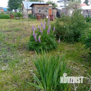 Дом 50м², 2-этажный, участок 6 сот.