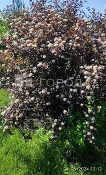 Дом 54м², 2-этажный, участок 6 сот.