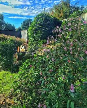 Дом 10м², 1-этажный, участок 11 сот.