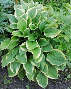 Дом 20м², 2-этажный, участок 7 сот.