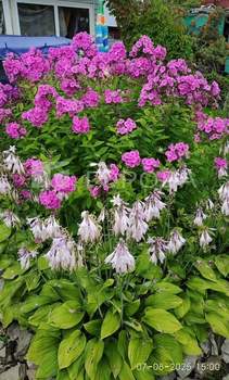 Дом 54м², 2-этажный, участок 6 сот.