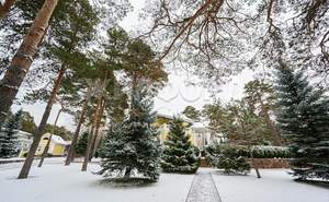 Дом 785м², 2-этажный, участок 110 сот.