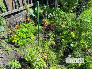 Дом 84м², 2-этажный, участок 2 сот.