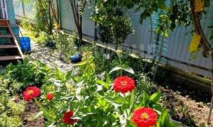 Дом 57м², 2-этажный, участок 4 сот.