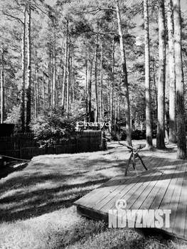 Коттедж 600м&sup2;, 3-этажный, на длительный срок, 