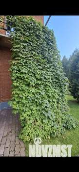 Дом 556м&sup2;, 3-этажный, посуточно, 