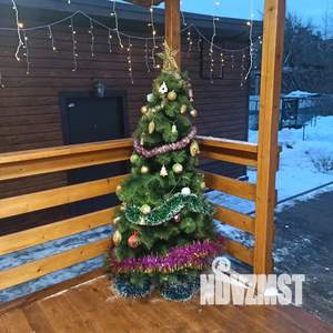 Дом 40м&sup2;, 1-этажный, посуточно, 