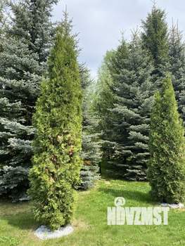 Дом 200м&sup2;, 2-этажный, посуточно, 