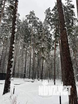 Дом 31м&sup2;, 1-этажный, посуточно, 